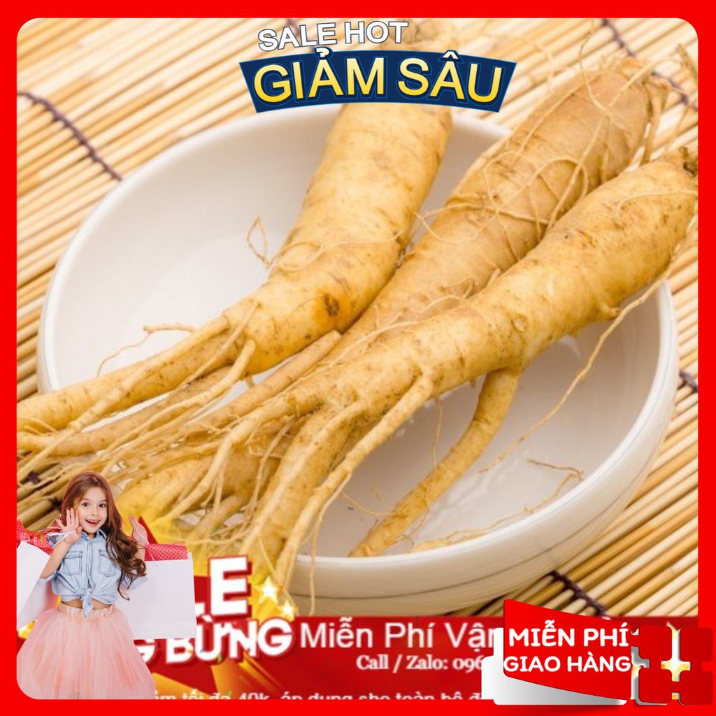 Hạt Giống Nhân Sâm Hàn Quốc - 4 Hạt / Gói ( Hàng Loại 1 )