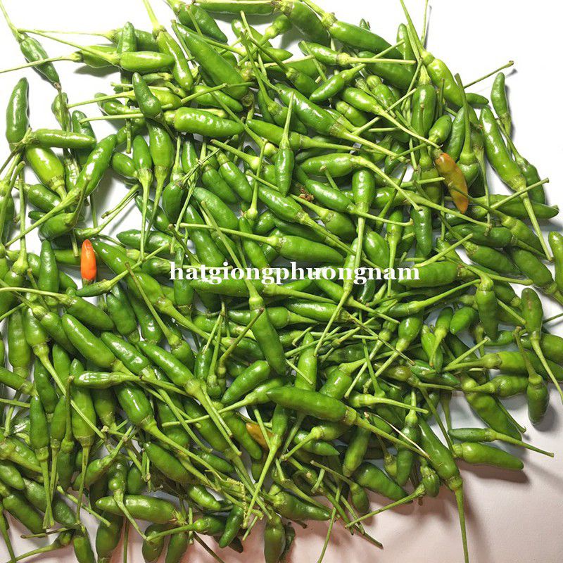 Hạt Giống Ớt Xiêm, Chất Lương F1 - gói 30 hạt