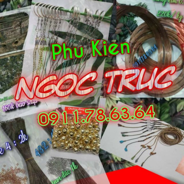 ngocnguyentruc