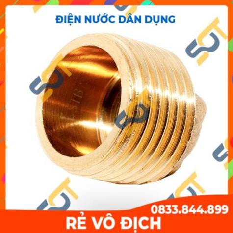 - Nút đầu bịt ren ngoài (Brass pipe fitting plug cap male) (dập nóng) - Bằng đồng