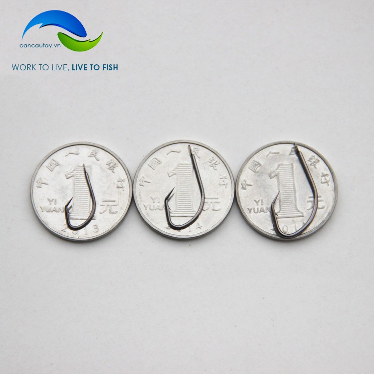 Bộ dây câu cá cắm qua đêm