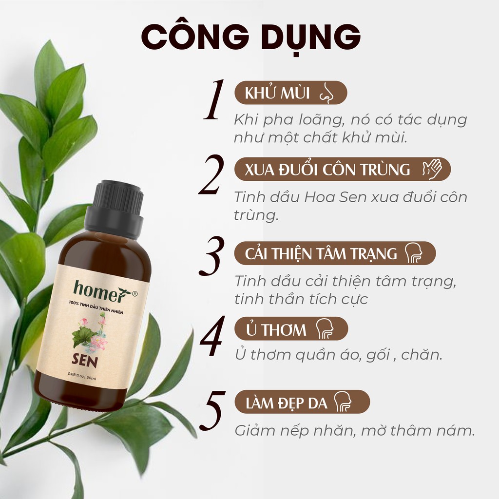 Tinh dầu Sen Việt Nam Homer 500ML/ 1L - Lotus Essential Oil - đạt chuẩn chất lượng kiểm định