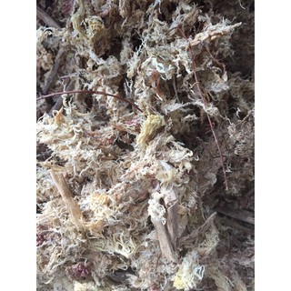 Dớn Chile-1kg
