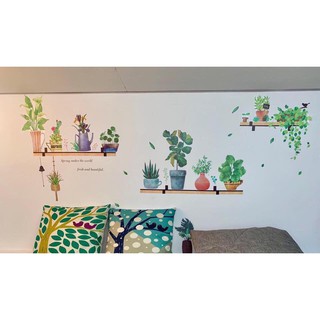decal dán tường chậu cây trang trí