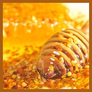 [NGUYÊN CHẤT] Phấn hoa mật ong 500gr