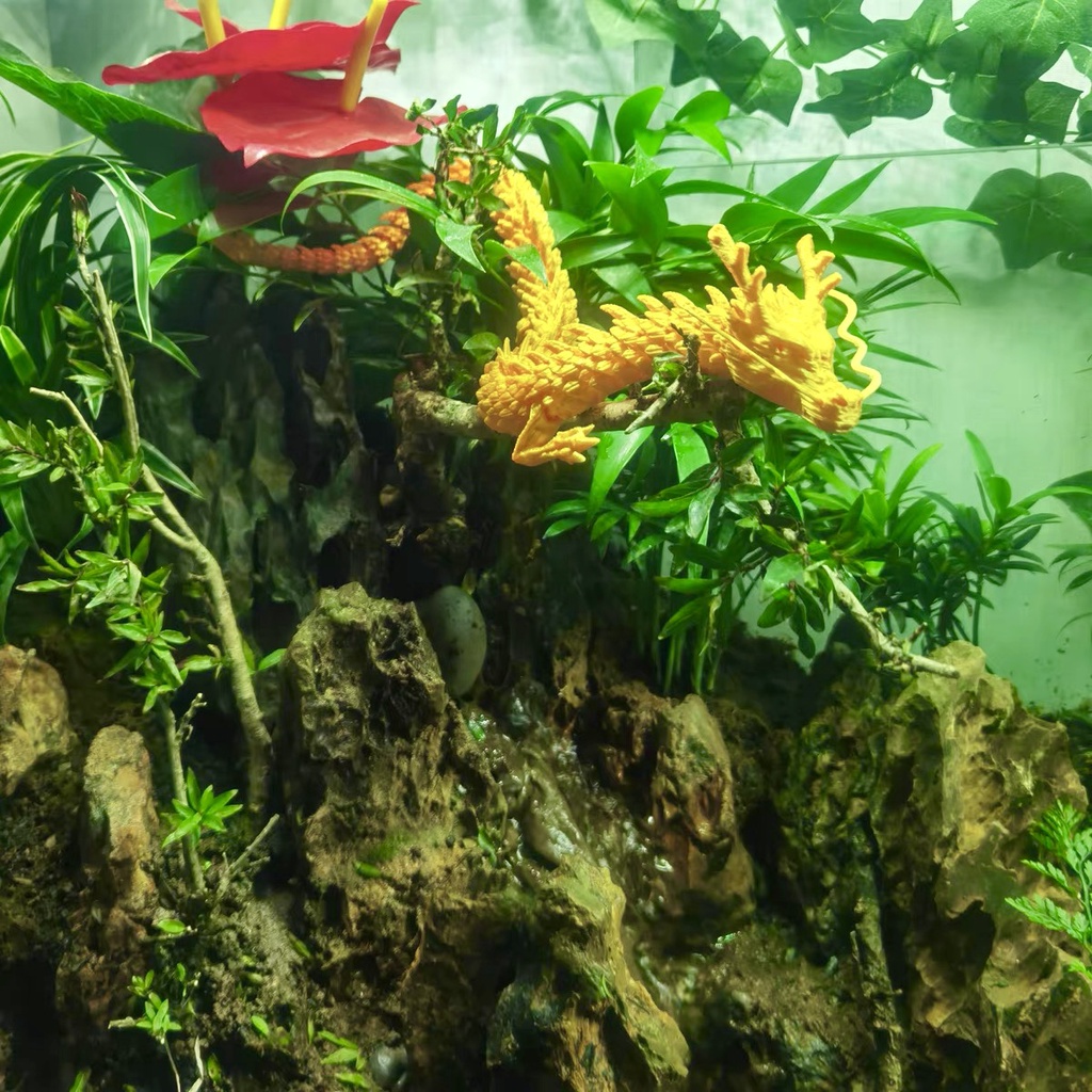 Trang Trí Hồ Cá Thủy Sinh Rồng 3D - Dragon