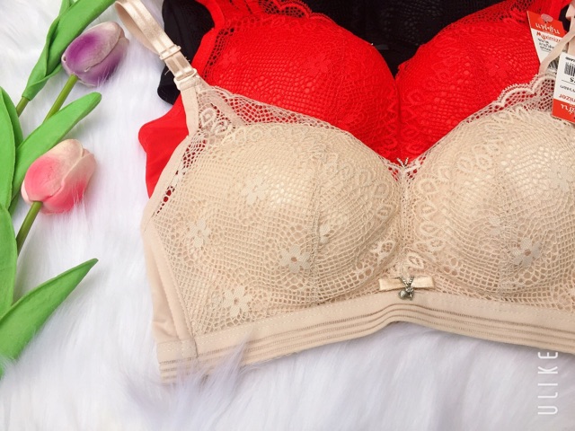 Áo ngực ko gọng ren mút dày nâng ngực 234