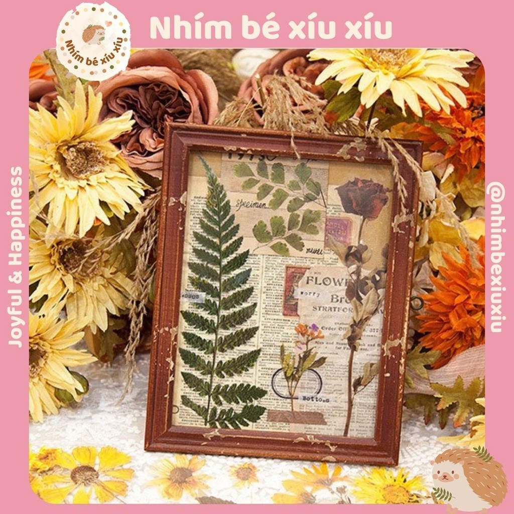 Sticker giả hoa khô vintage size lớn hình dán dried flower VT166