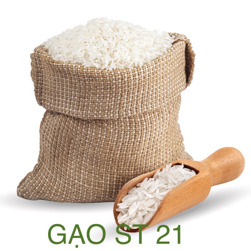 Gạo Thơm ST21 - HÀNG MỚI ( bao 5kg)