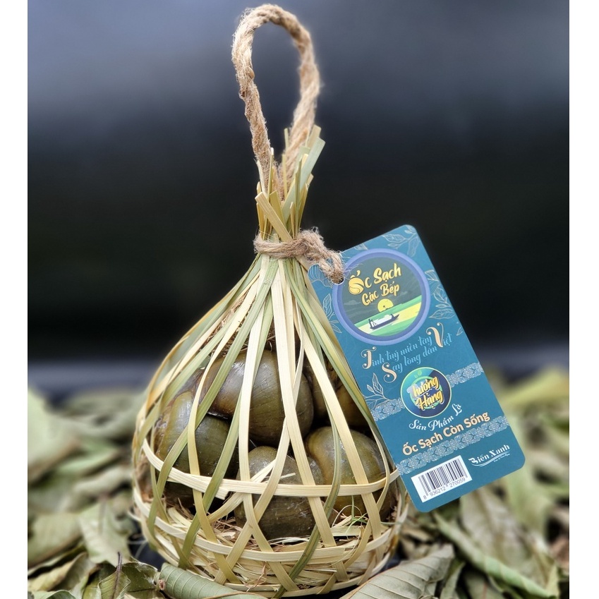 ỐC GÁC BẾP