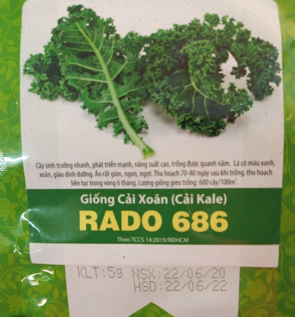 Giống cải Kale (cải xoăn)