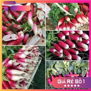 Hạt giống Củ Cải Pháp dài (Bữa sáng Pháp) - 400H - HGNK