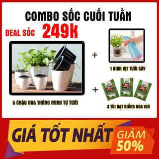 Combo Chậu Hoa Thông Minh Kèm Hạt Giống Hoa Mười Giờ Nhiều Màu kết hợp bình xịt thông minh . Combo senhouse 1