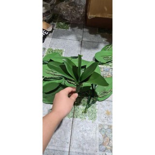 Lá lan cao su cao cấp sl1921