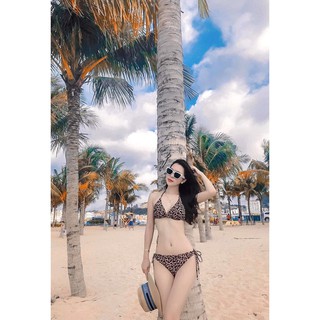 [BIKINI NỮ ĐỒ TẮM NỮ 2 MẢNH SEXY] Bikini 2 mảnh basic quần chip tam giác da beo sành điệu