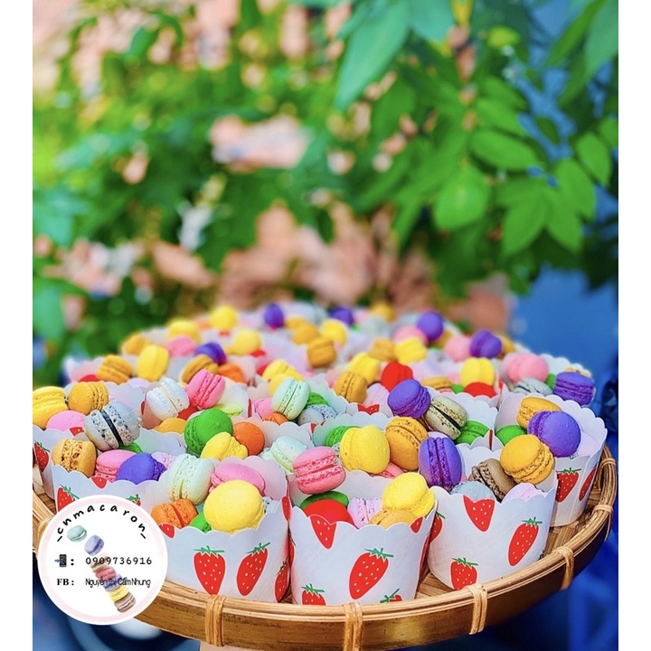 10 Bánh macaron kèm hộp như hình
