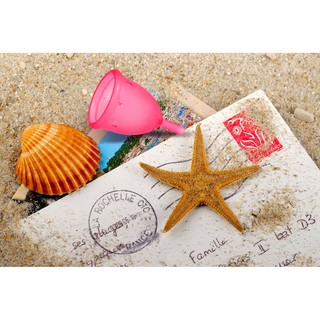 Hàng Combo Cốc nguyệt san Ladycup