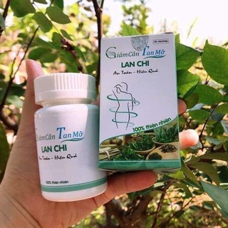 Giảm cân lan chi mẫu cũ