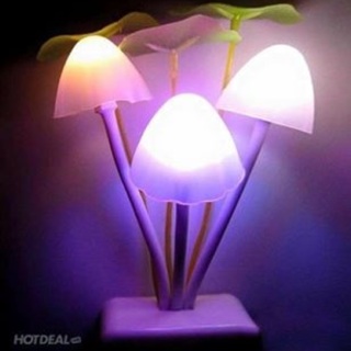 Đèn ngủ cây nấm đổi màu