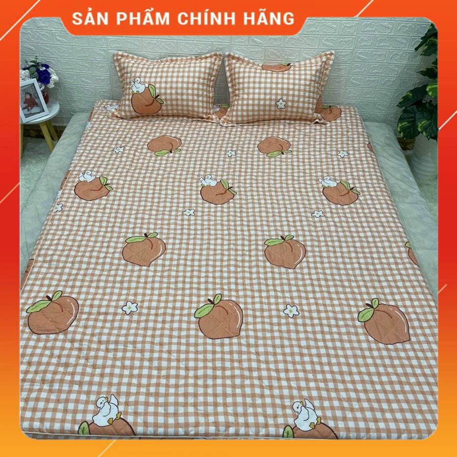 Ga Chun Trần Bông trải giường chất liệu cotton poly giá rẻ nhiều màu sắc lựa chọn | BigBuy360 - bigbuy360.vn