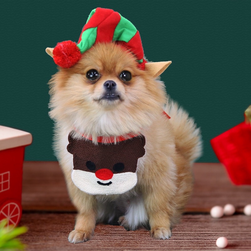 BST NOEL YẾM KIỂU GIÁNG SINH VUI VẺ DÀNH CHO THÚ CƯNG