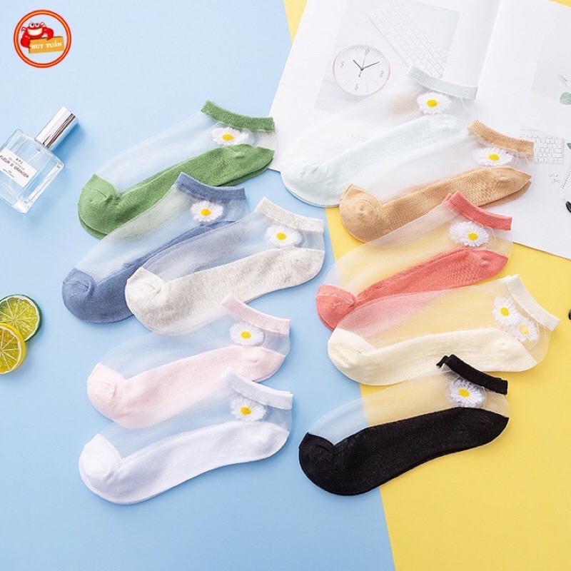 Combo 10 đôi tất ren hoa cúc đủ màu