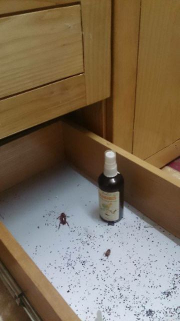 Tinh dầu chống côn trùng Lam Hà 100ml
