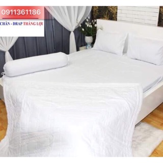 Combo drap cotton Thắng Lợi