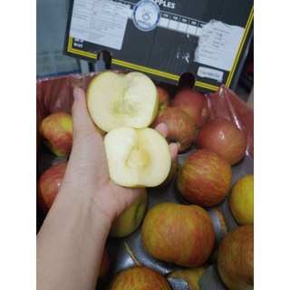 Hcm free ship - 1kg táo nam phi chủng fuji tươi giòn ngọt