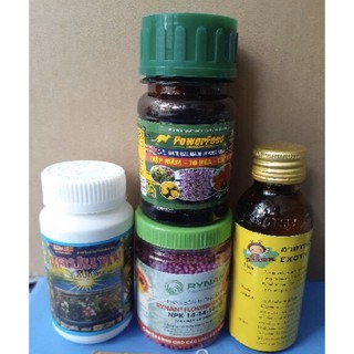 Combo 4 loại phân - thuốc chăm sóc lan