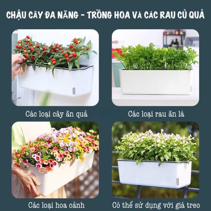Chậu nhựa trồng cây Oliz-A207. Chậu trồng rau tự dưỡng thiết kế thông minh hiện đại