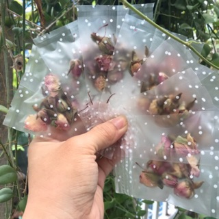 Set SAFFRON và Nụ Hồng khô iran cao cấp (pha được 500ml trà)