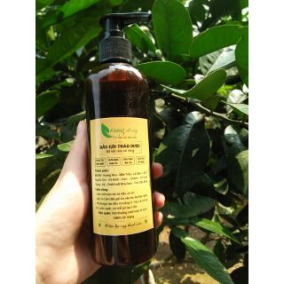 Dầu gội bồ kết mix cỏ rừng, trị rụng tóc, kích thích mọc tóc