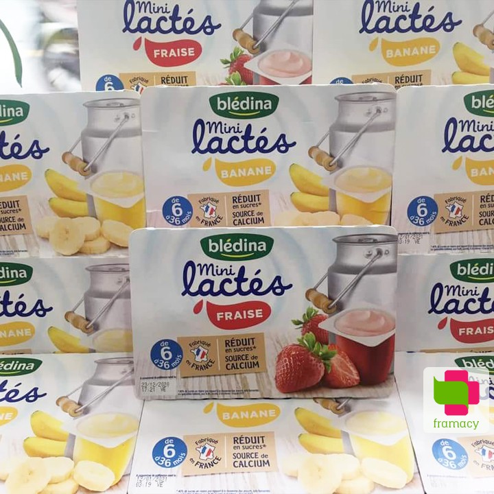 Sữa chua nguội Bledina Mini Lactes, Pháp  bổ sung dinh dưỡng, vitamin, canxi cho bé từ 6 tháng đến 3 tuổi