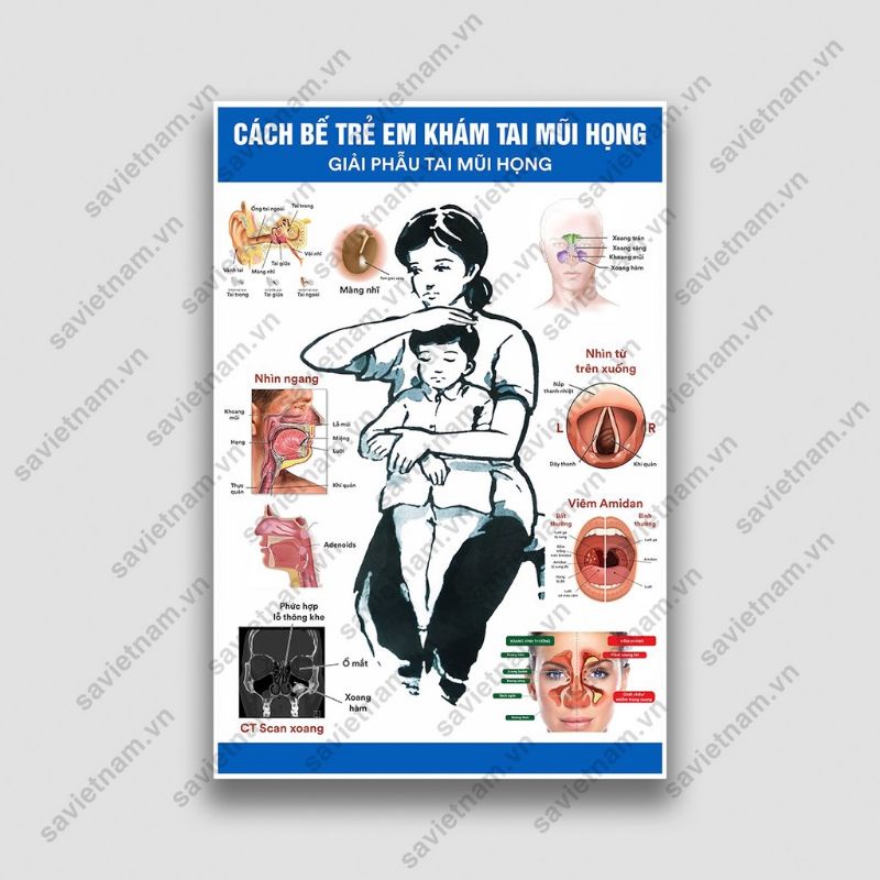 Tranh Cách bế trẻ em khám tai mũi họng, giải phẫu tai mũi họng - chất liệu IN ẢNH không gồm khung
