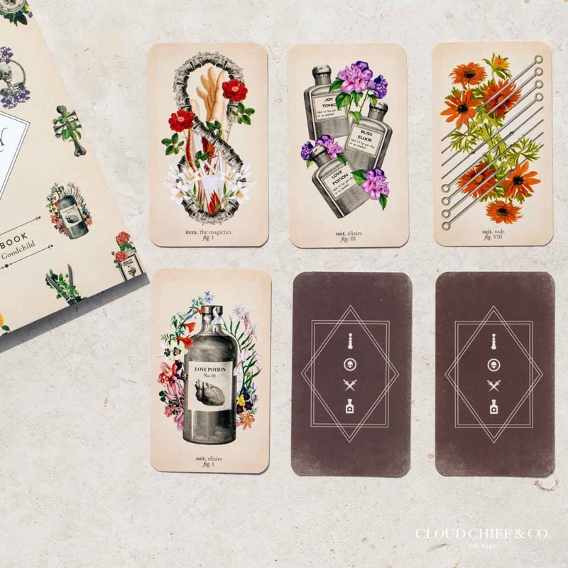 Bộ bài The Antique Anatomy Tarot Kit authentic order Mỹ  for the Modern Reader
