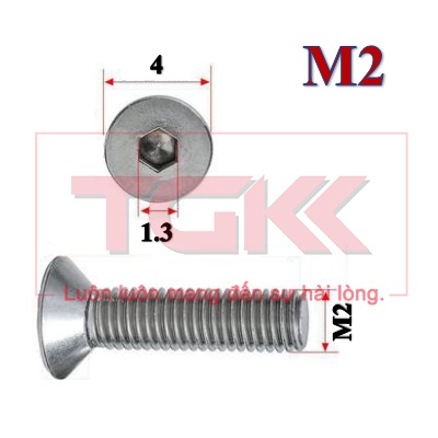 Bulong LGC đầu bằng inox 304 M2 (Túi 20)