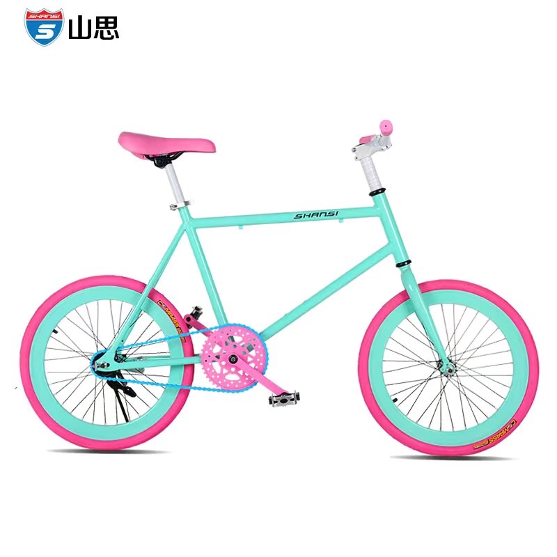 Xe đạp bánh nhỏ 20icnh