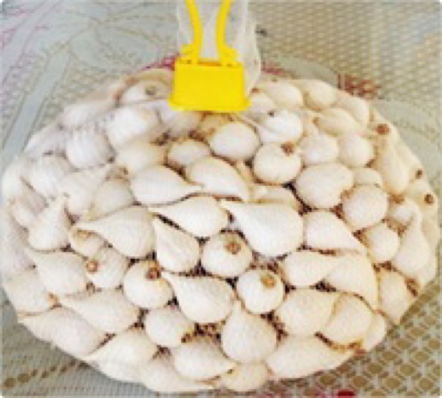 Tỏi Cô Đơn Lý Sơn chính gốc (loại 0.5 kg) | BigBuy360 - bigbuy360.vn