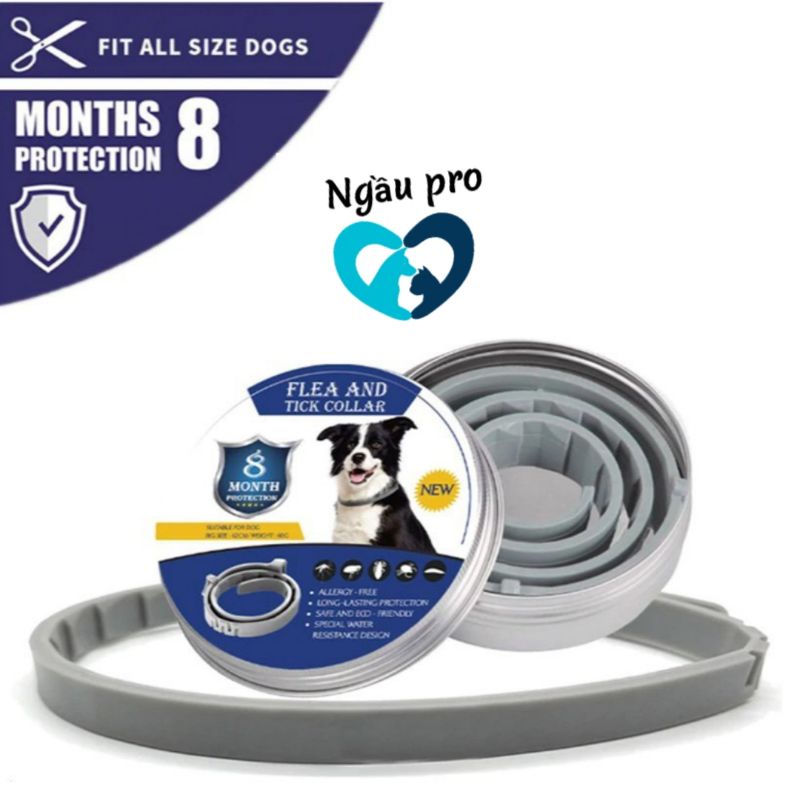 Vòng Cổ phòng trị ve bét chấy rận cho chó mèo - Dây đeo Cổ diệt ký sinh trùng trên lông da chó - Flea And Tick Collar