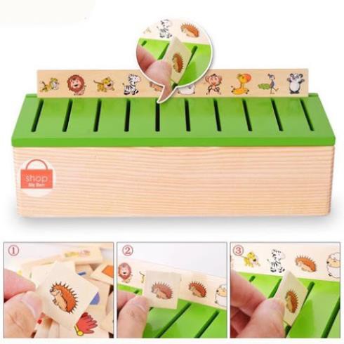 Hộp phân loại nhiều chủ đề - Giáo cụ Montessori