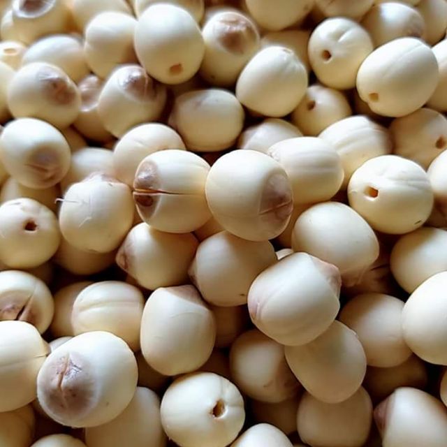 Sen tươi Huế chính gốc 1kg như hình (theo mùa)