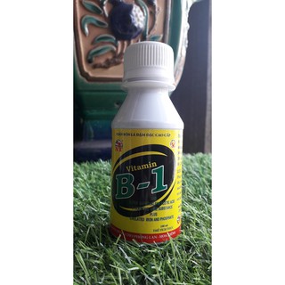 Phân bón lá đậm đặc cao cấp vitamin b1 100ml