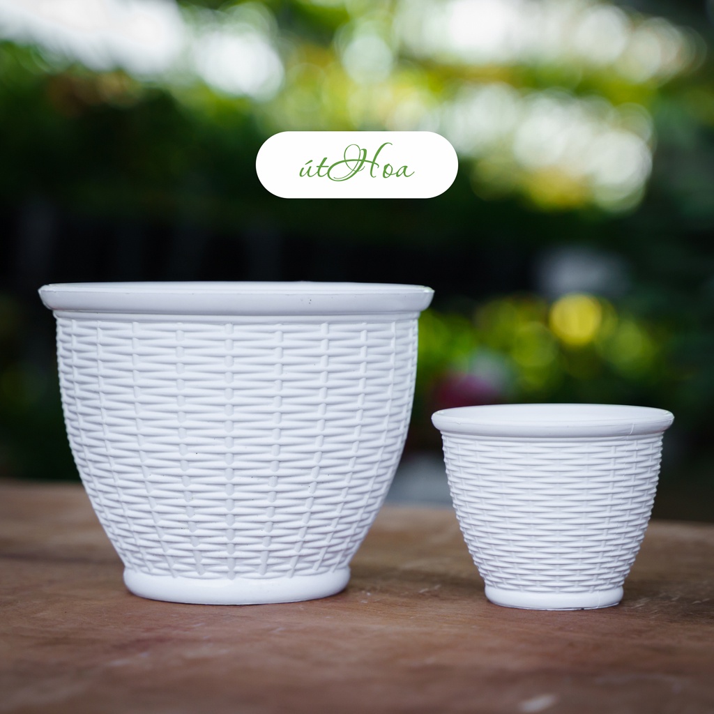 Chậu trồng cây để bàn mây đan Vành mini siêu dễ thương