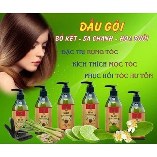 Dầu gội chanh xả bưởi
