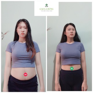Cao lá rừng