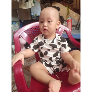 Bộ Bò Sữa Hit Hot chất cotton 2021