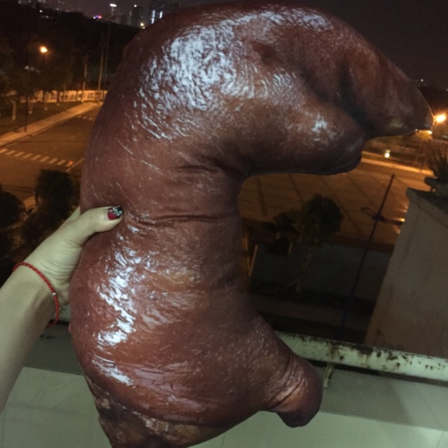 gối ôm order