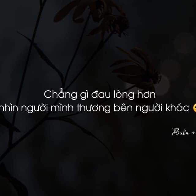 tongkho.mypham