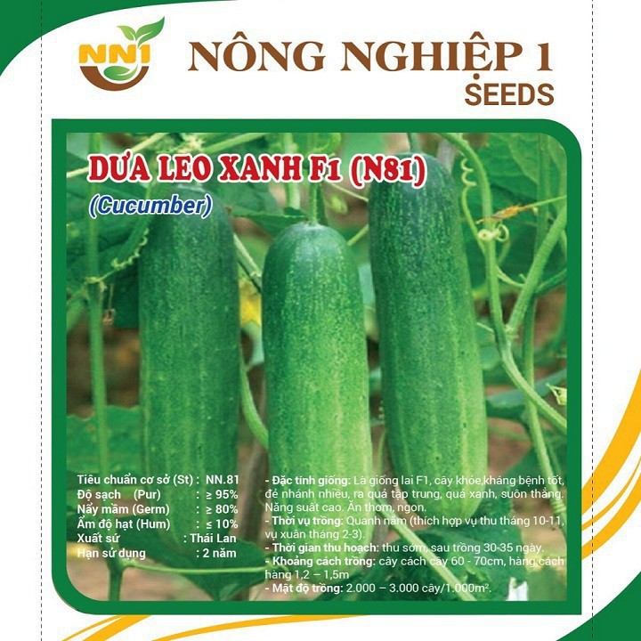 Hạt giống Dưa leo Xanh F1 Thái Lan N81_Dưa chuột siêu quả giống mới